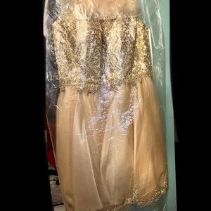 short champagne dress